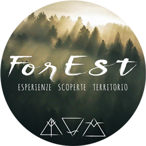 partner-forest